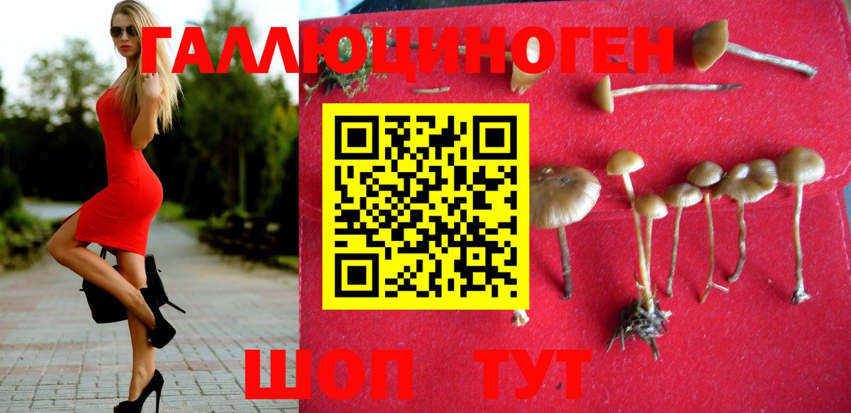 Галлюциногенные грибы мицелий Владивосток