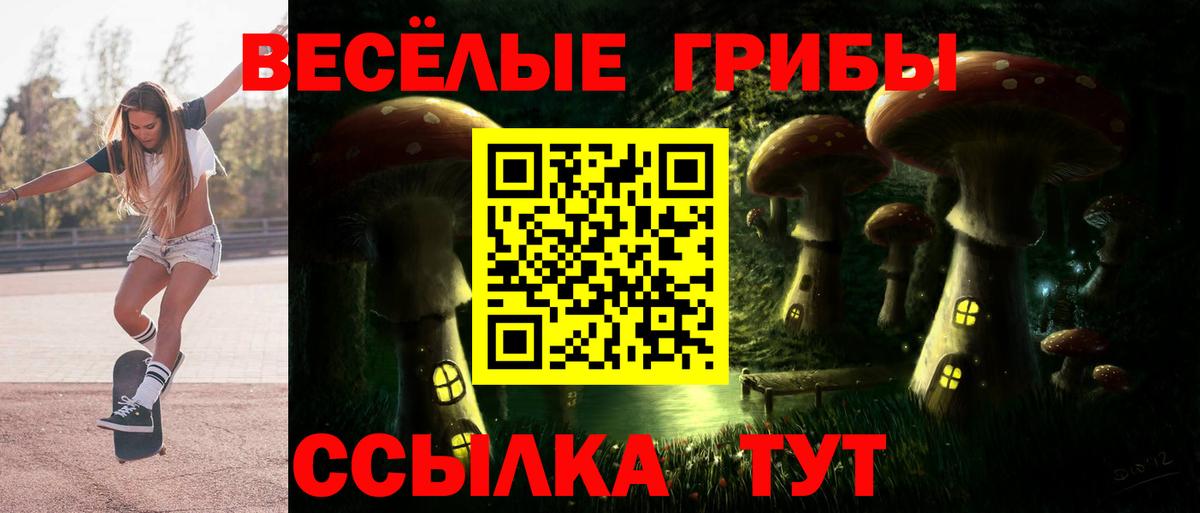 Владивосток  Псилоцибиновые грибы Psilocybine cubensis  Вход с VPN 